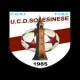 Solesinese